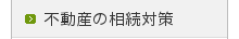 sY̑΍
